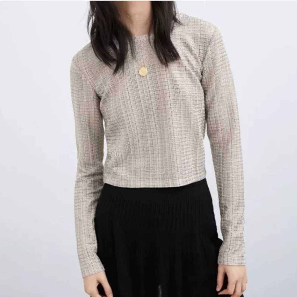 Zara Women's Metallic Shimmery Sheer Long Sleeve Crop Top, Beige Silver Gold, S